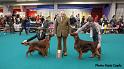 bestofbreed3