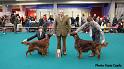 bestofbreed4