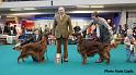 bestofbreed7