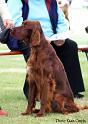 lochfrae_aviator