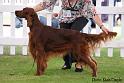 bardonhillgingerwhinger