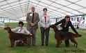 bestofbreed2