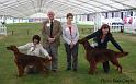 bestofbreed6
