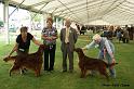 bestofbreed2