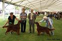 bestofbreed3
