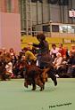 crufts46
