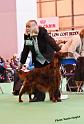 crufts_115