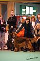 crufts_1289