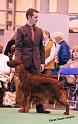 crufts_1432