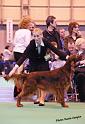 crufts_1435