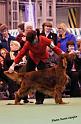 crufts_1442