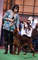 crufts_261