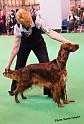 crufts_791