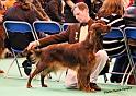 crufts_901