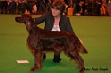 atronlimitededition1