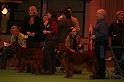 crufts040