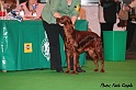 crufts065