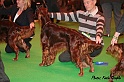 crufts202