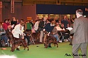 graduatedogs1