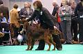 resized_IMG_8452