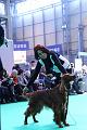 resized_IMG_9679