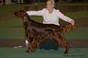 brilliantbronzebrianofboyne_2champion