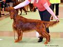 eastmeadowsivegotthefeeling_1intermediate